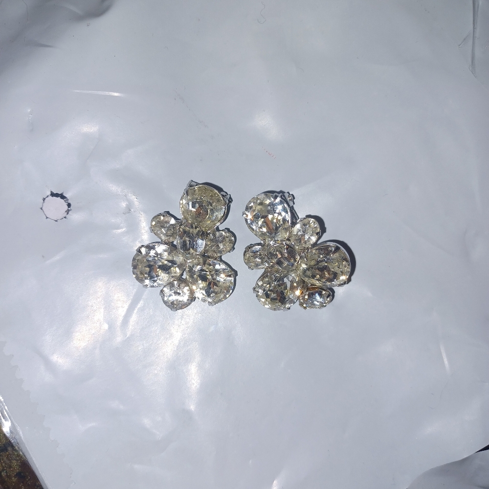 Pair of vintage Eisenberg Rhodium Fur Clips 1.25" x 1" Eggs and oval